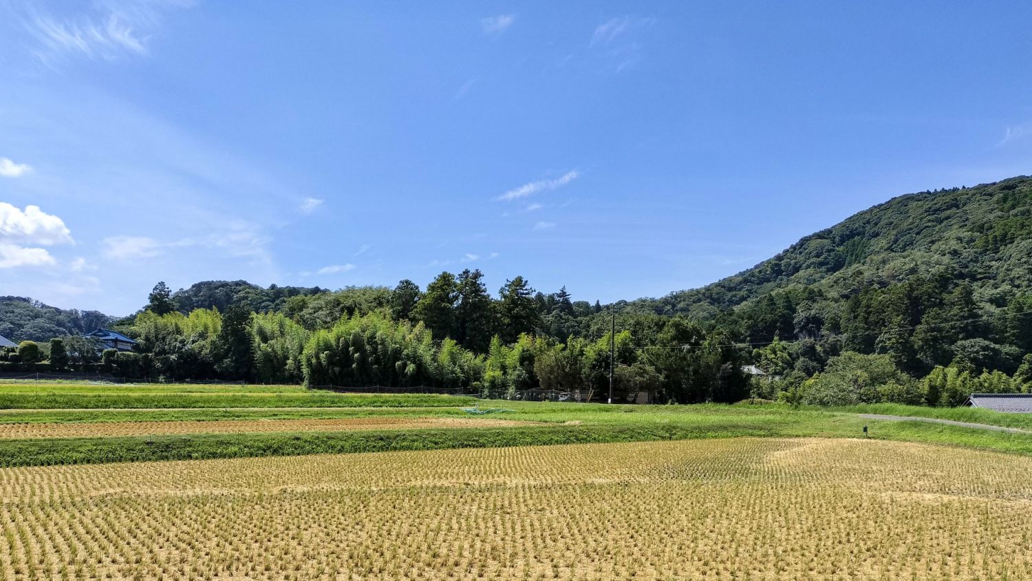 畑や田んぼなどの農地に家を建てる方法はあるの？農地法や農地転用の流れを詳しく解説